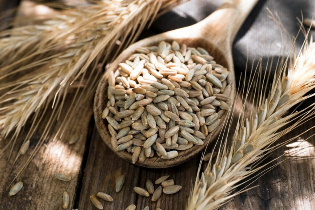 Roggen Allergie Was Nicht Essen